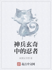 神兵玄奇中的忍者